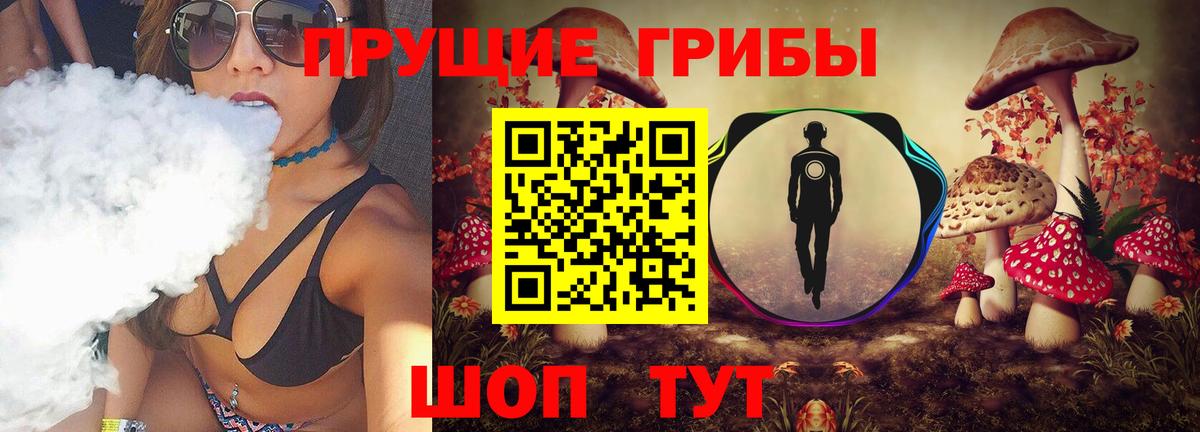 Галлюциногенные грибы Psilocybine cubensis Людиново